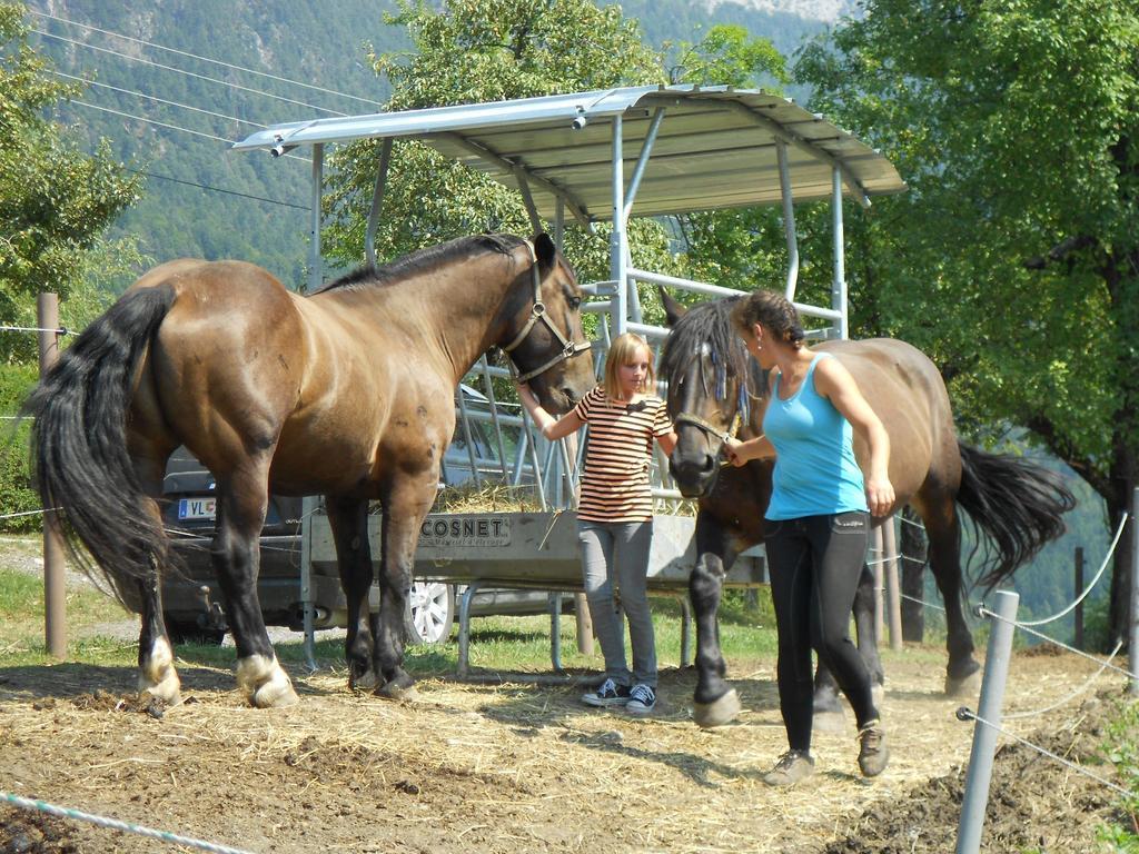 Ferienwohnung Andritsch Sankt Georgen im Gailtal Ngoại thất bức ảnh